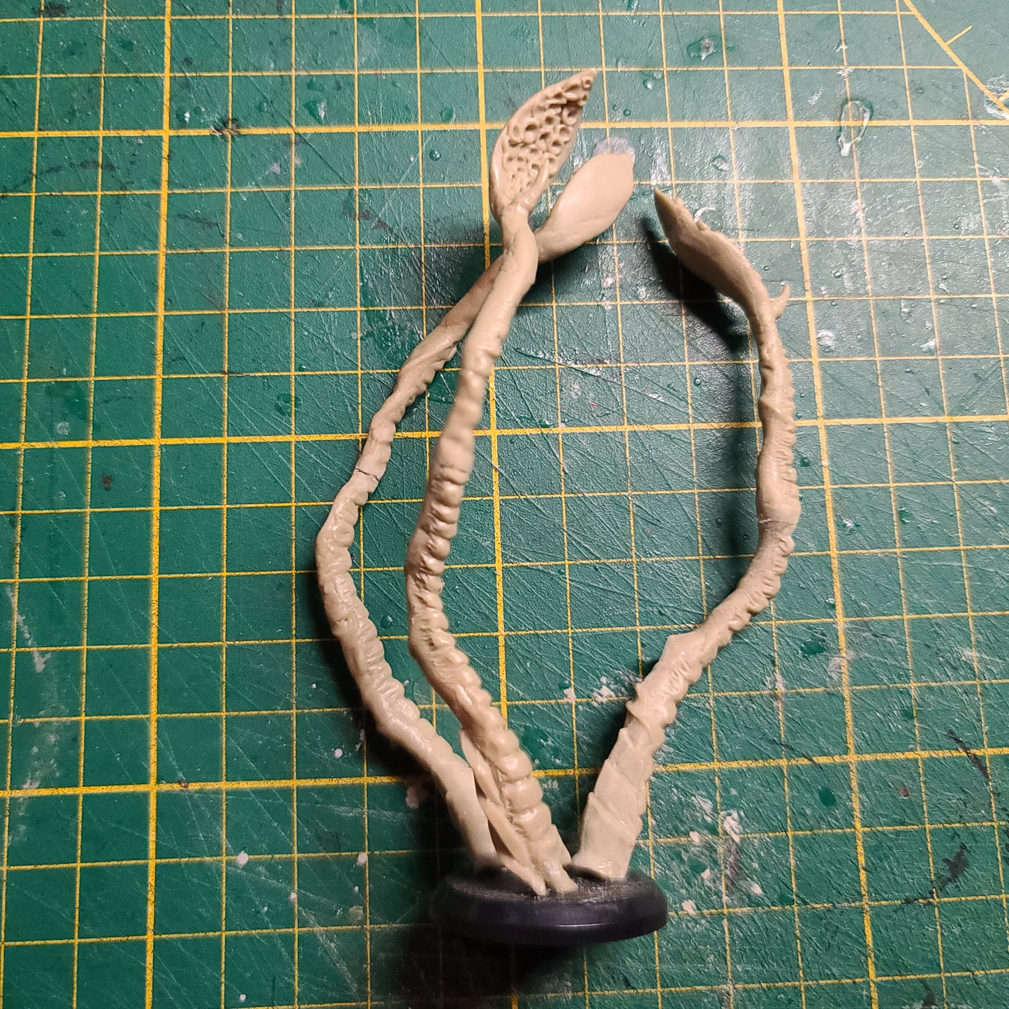 Tentacules !!!