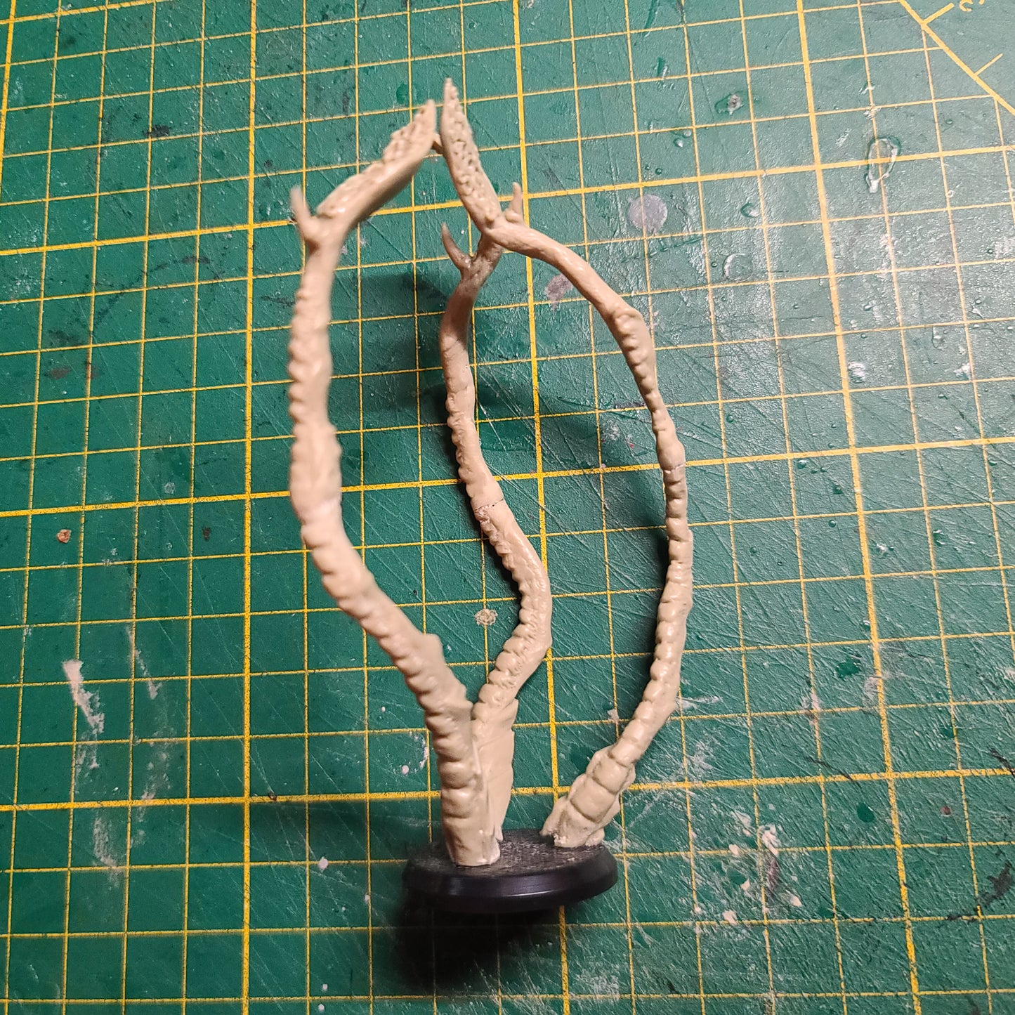 Tentacules !!!