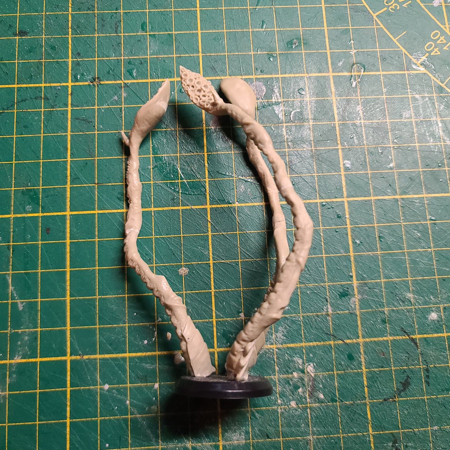 Tentacules !!!
